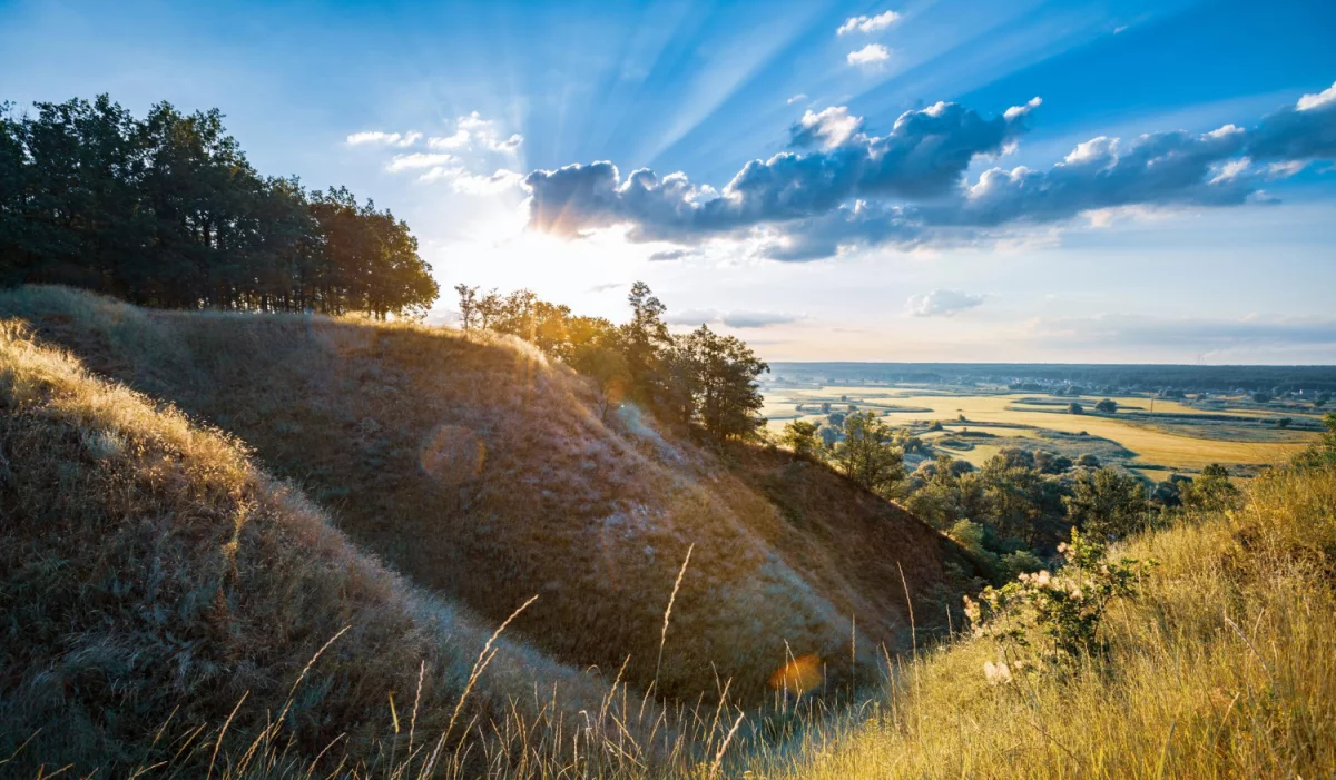 Co jeszcze warto pożyczyć na event czy inne okazje
