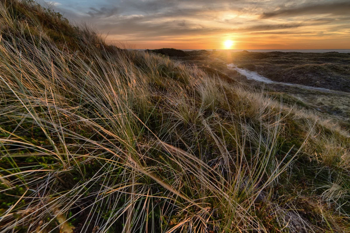 Jak kupić paracord 5mm i zarobić?