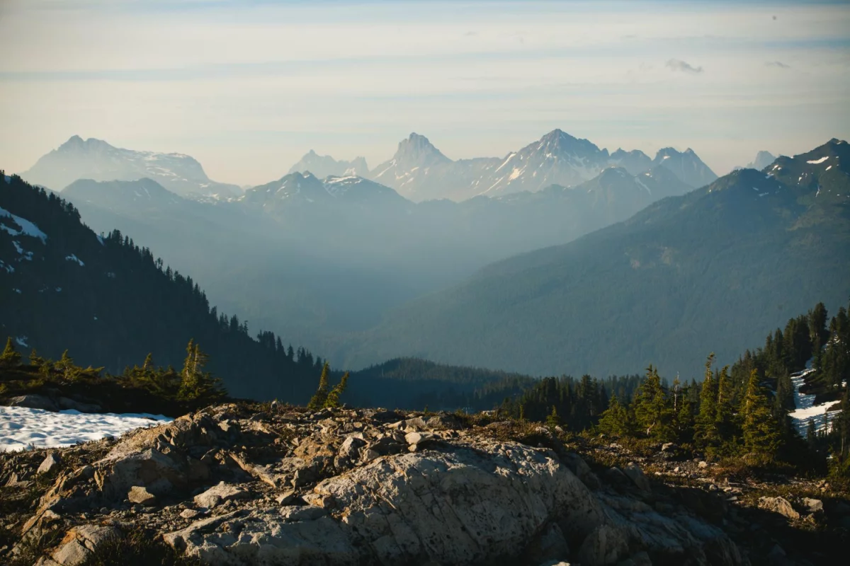 szkolić się? Dobrze albo wcale!