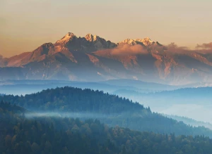 Jak  zadbać o rośliny domowe - zmiany w 2025