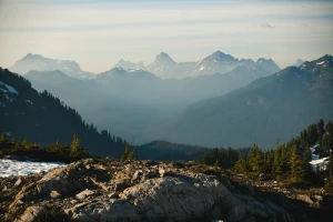 Czy można kupić para cord w dzień?